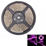 50W SMD3528 5m 600leds étanche