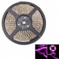 /products/a50w-smd3528-5m-600leds-etanche/